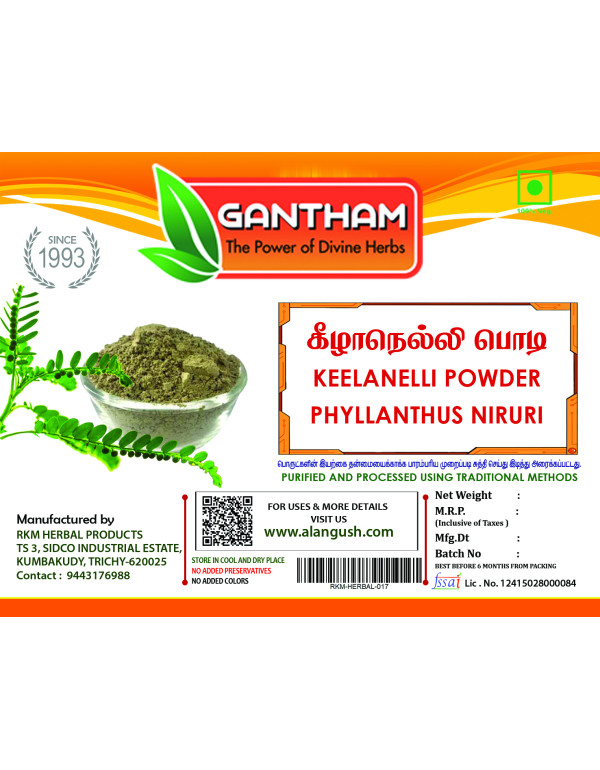 Phyllanthus Niruri  ( கீழாநெல்ல...